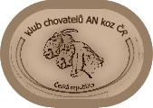 ovál - kopie-tr.